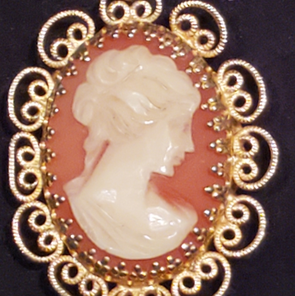 🔥 Vintage Cameo North Star 17 jewels 🔥